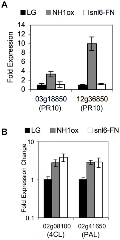 Characterization of the role of <i>Snl6</i> in the defense response.
