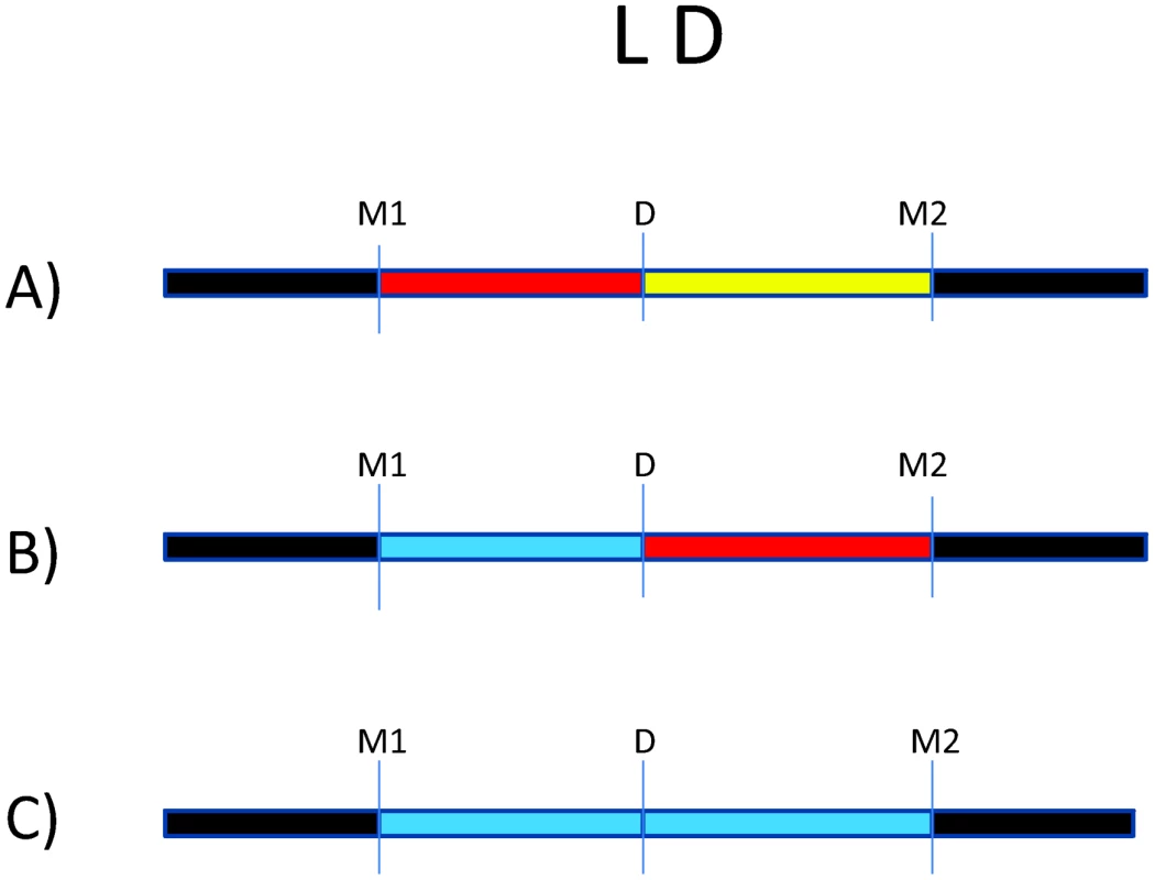 Impact of variation in linkage disequilibrium (LD) in detection of disease risk alleles.
