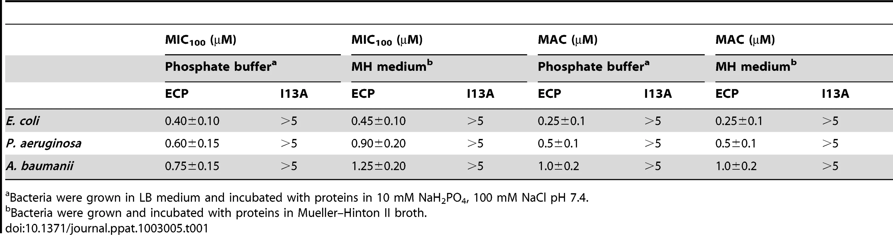 Antimicrobial (MIC<sub>100</sub>) and agglutinating (MAC) activities of wtECP and I13A mutant in Gram-negative strains.
