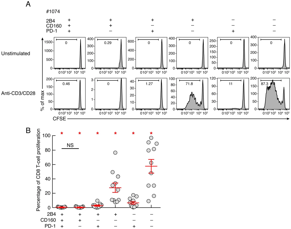 Intrinsic proliferation capacity of sorted CD8 T-cell populations expressing the different combinations of 2B4, CD160 and PD-1.